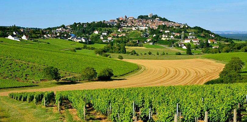 Elisabeth visits Sancerre