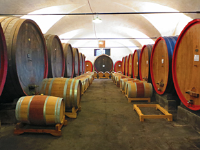 Visit the caves and enjoy a wine tasting