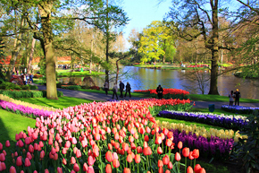 Springtime in Holland at the Keukenhof Gardens with the barge La Nouvelle Etoile
