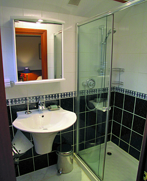 Magna Carta ensuite bathroom