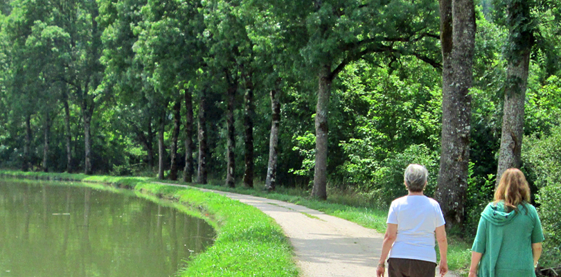 Walk the towpaths along the canal